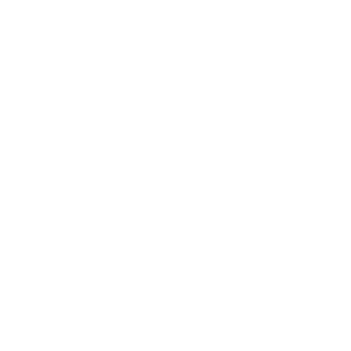 Writer